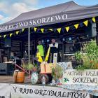 zdjęcie nr 13