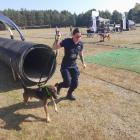Fotka nr 3 z 10