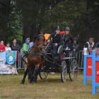 zdjęcie nr 12