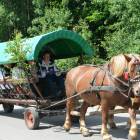 zdjęcie nr 72