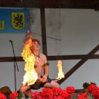 zdjęcie nr 8