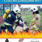 zdjęcie nr 8