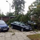 zdjęcie nr 18