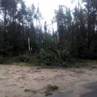 zdjęcie nr 19