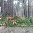 fot. internet/Ochotnicza Straż Pożarna w Łubianie