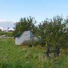 zdjęcie nr 41