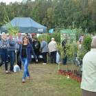 zdjęcie nr 50