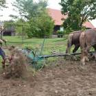 zdjęcie nr 8
