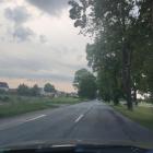 zdjęcie nr 12
