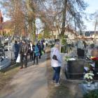 zdjęcie nr 41