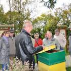 zdjęcie nr 15