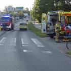Fotka nr 1 z 2