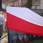 zdjęcie nr 15
