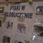 zdjęcie nr 25