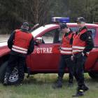 zdjęcie nr 15