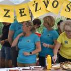 zdjęcie nr 19