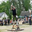 zdjęcie nr 9