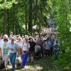 zdjęcie nr 33