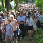 zdjęcie nr 49