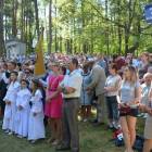 zdjęcie nr 50