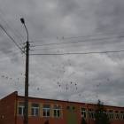 zdjęcie nr 41