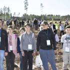 zdjęcie nr 61