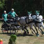 zdjęcie nr 27