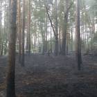 fot. nadesłane/KP PSP Kościerzyna