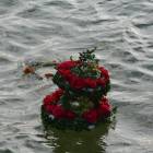 zdjęcie nr 51