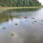 zdjęcie nr 34