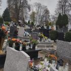 zdjęcie nr 33