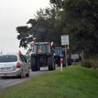 zdjęcie nr 36
