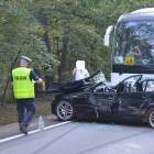zdjęcie nr 16