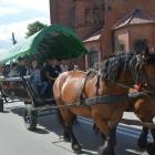 zdjęcie nr 29