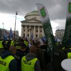 zdjęcie nr 14