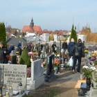 zdjęcie nr 13