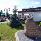 zdjęcie nr 8