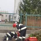 zdjęcie nr 10