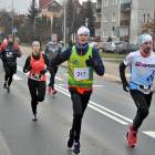 zdjęcie nr 45