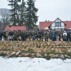 zdjęcie nr 80
