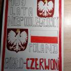 zdjęcie nr 31