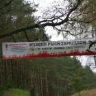 zdjęcie nr 5