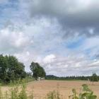 Fotka nr 5 z 6