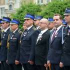 zdjęcie nr 15