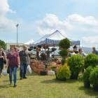 zdjęcie nr 27