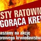 zdjęcie nr 7