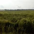 fot. nadesłane