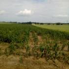 fot. nadesłane