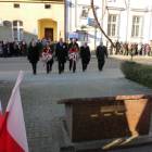 zdjęcie nr 14