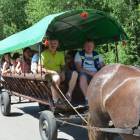 zdjęcie nr 72